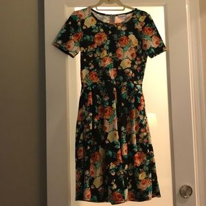 LuLaRoe gorgeous floral print Amelia dress.